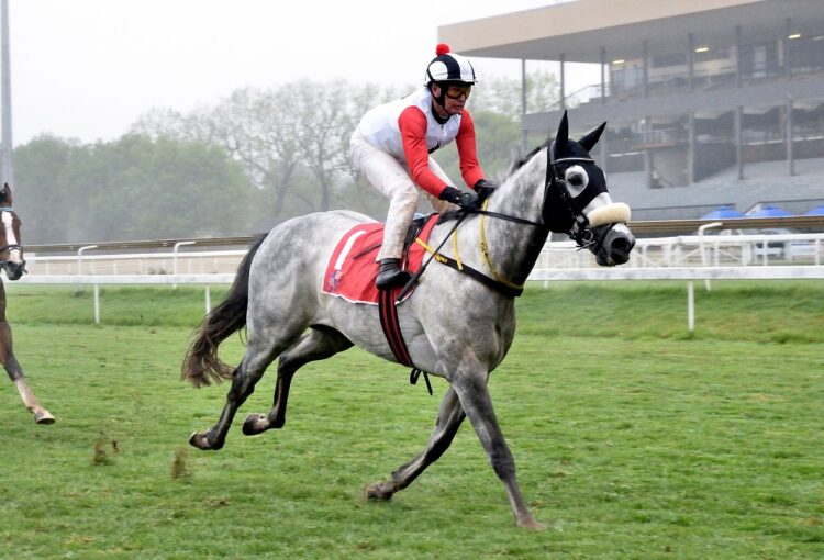 VERY HOT stable on a VERY COLD day