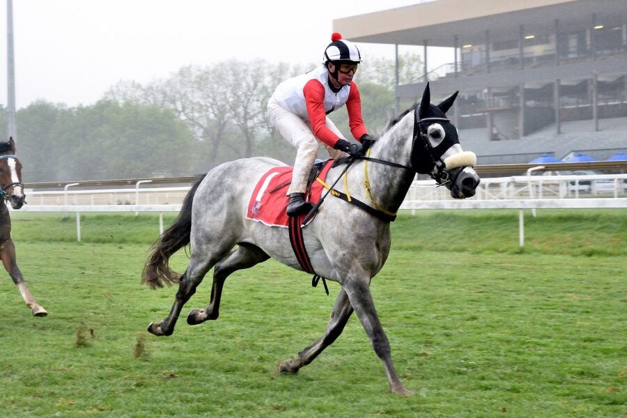 VERY HOT stable on a VERY COLD day