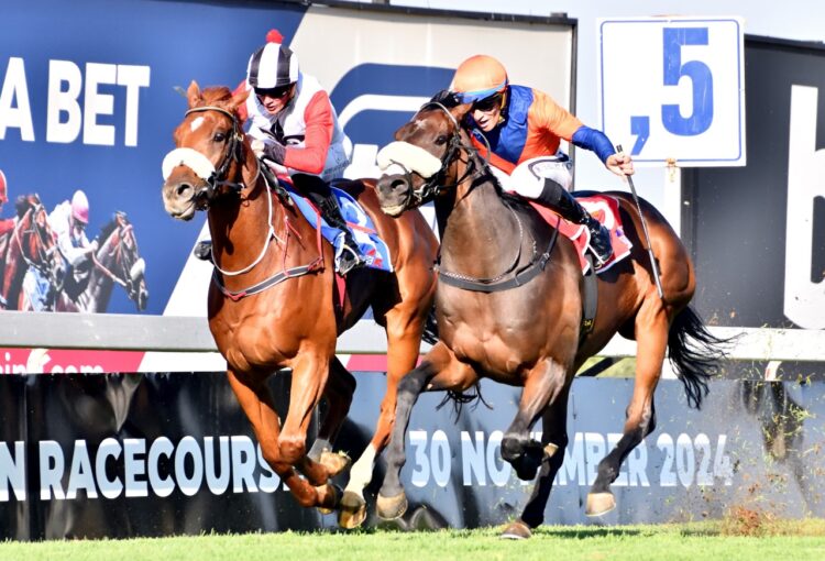 WINS AT VAAL AND TURFFONTEIN