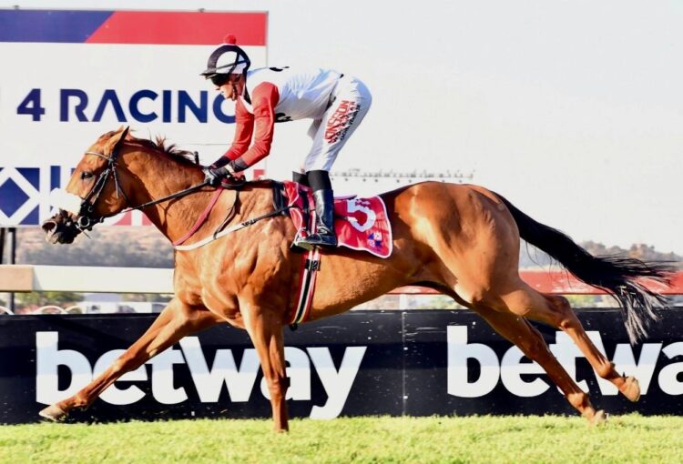 A Thrilling Start to the Highveld Spring/Summer Racing Season